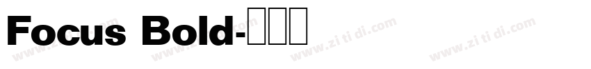 Focus Bold字体转换
